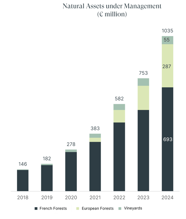 Assets en Decembre 2024