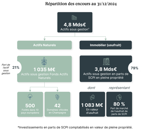 schema actifs FV 2025