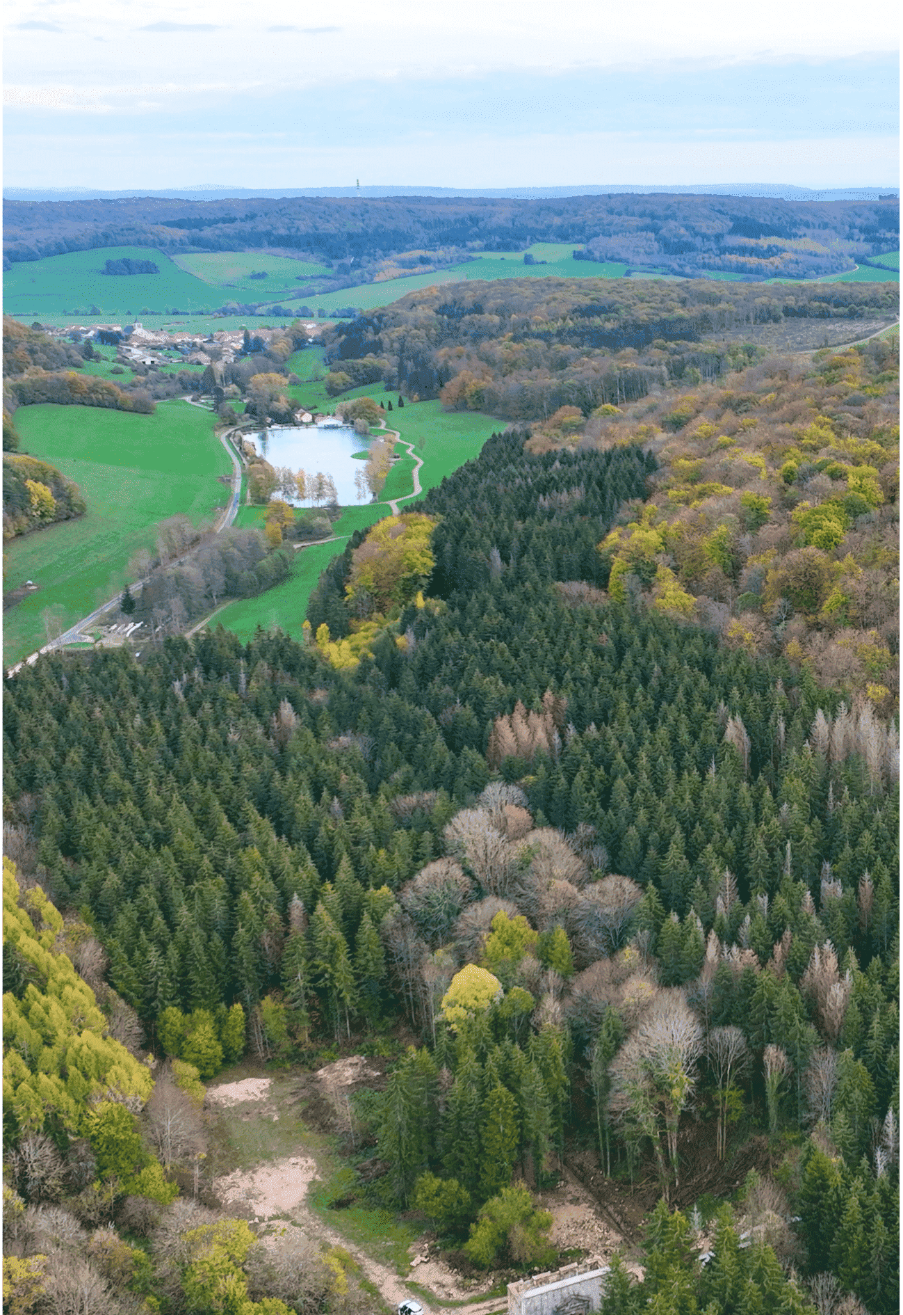 Forêt de Bourlémont