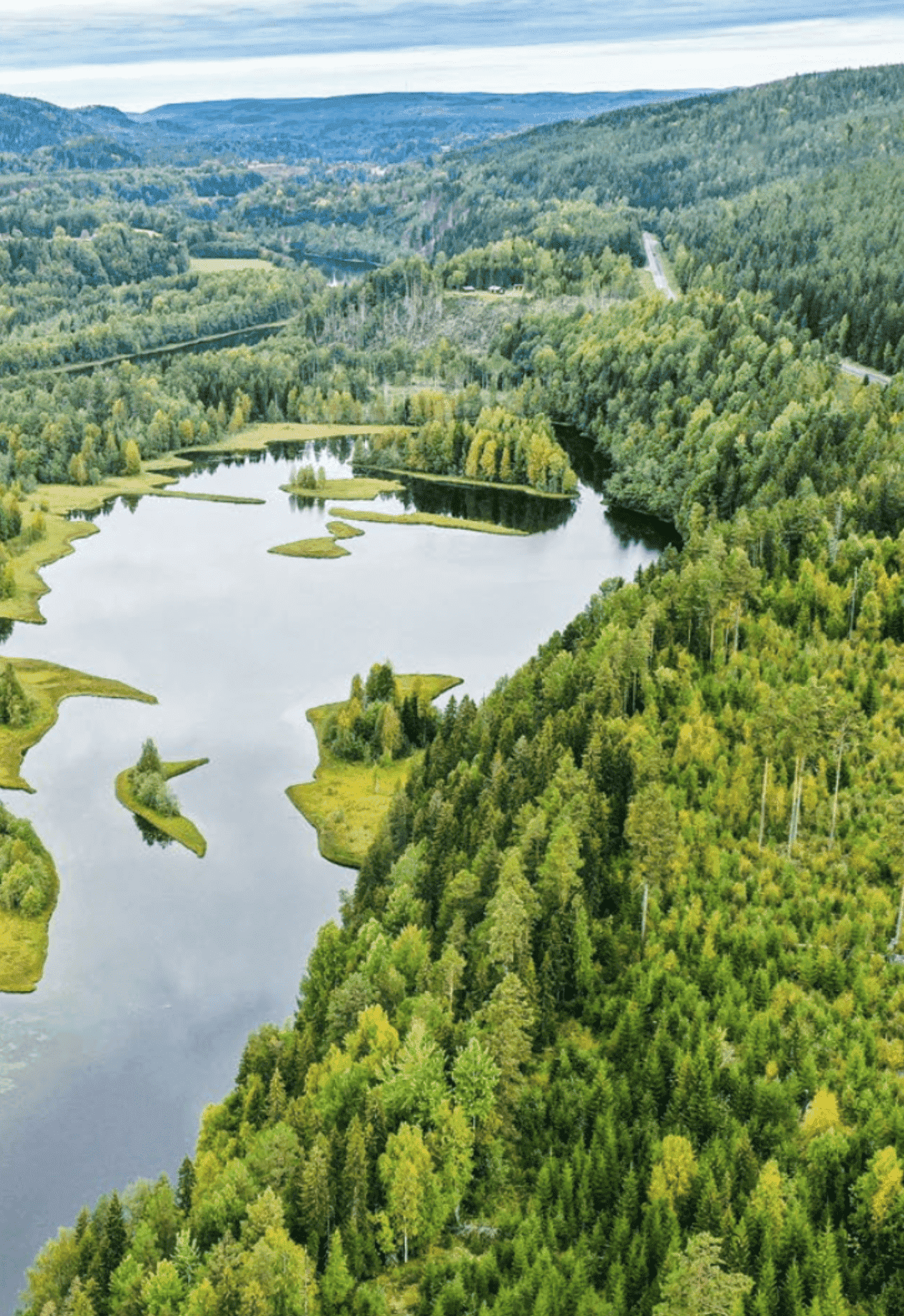 Forêt d'Imnas