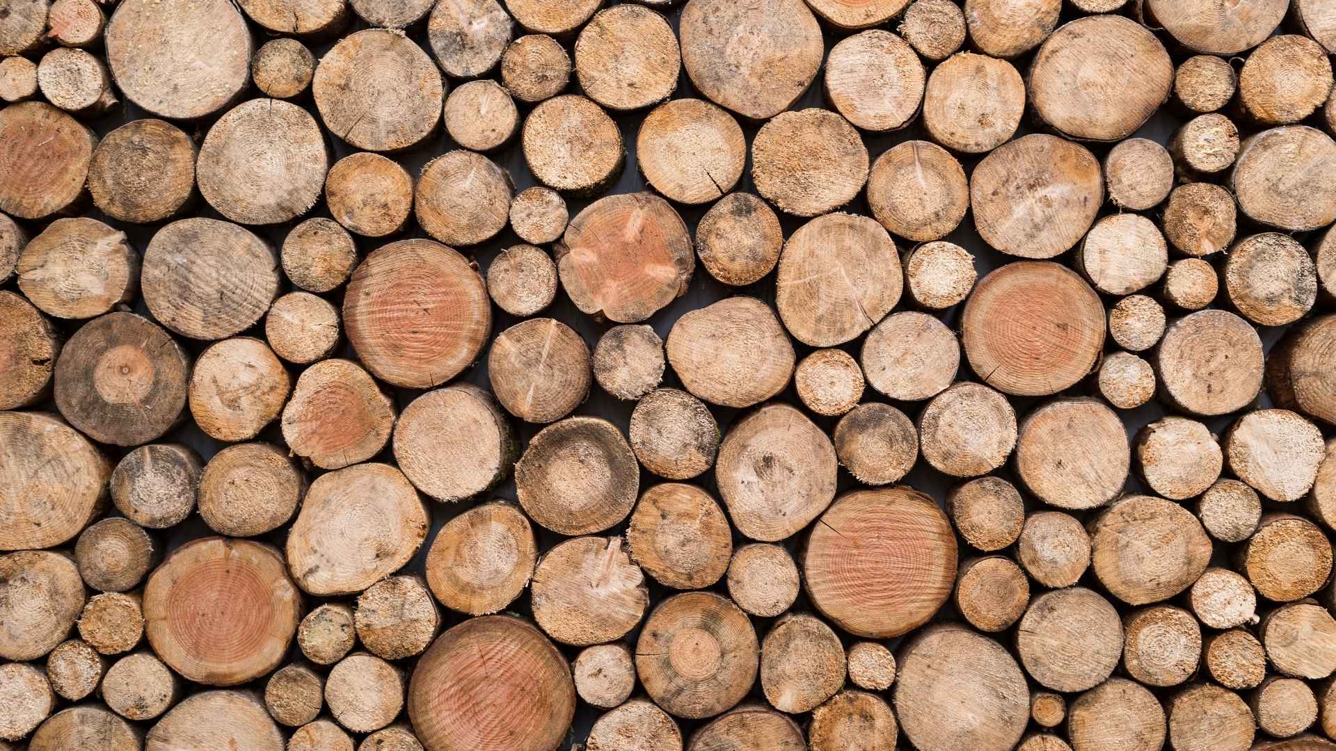 Report on wood availability