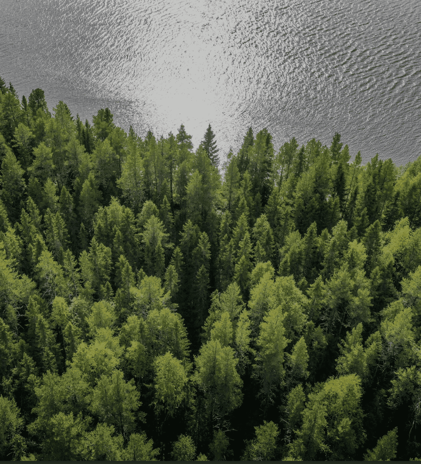 Fonciere Europe - Forêt dImnas