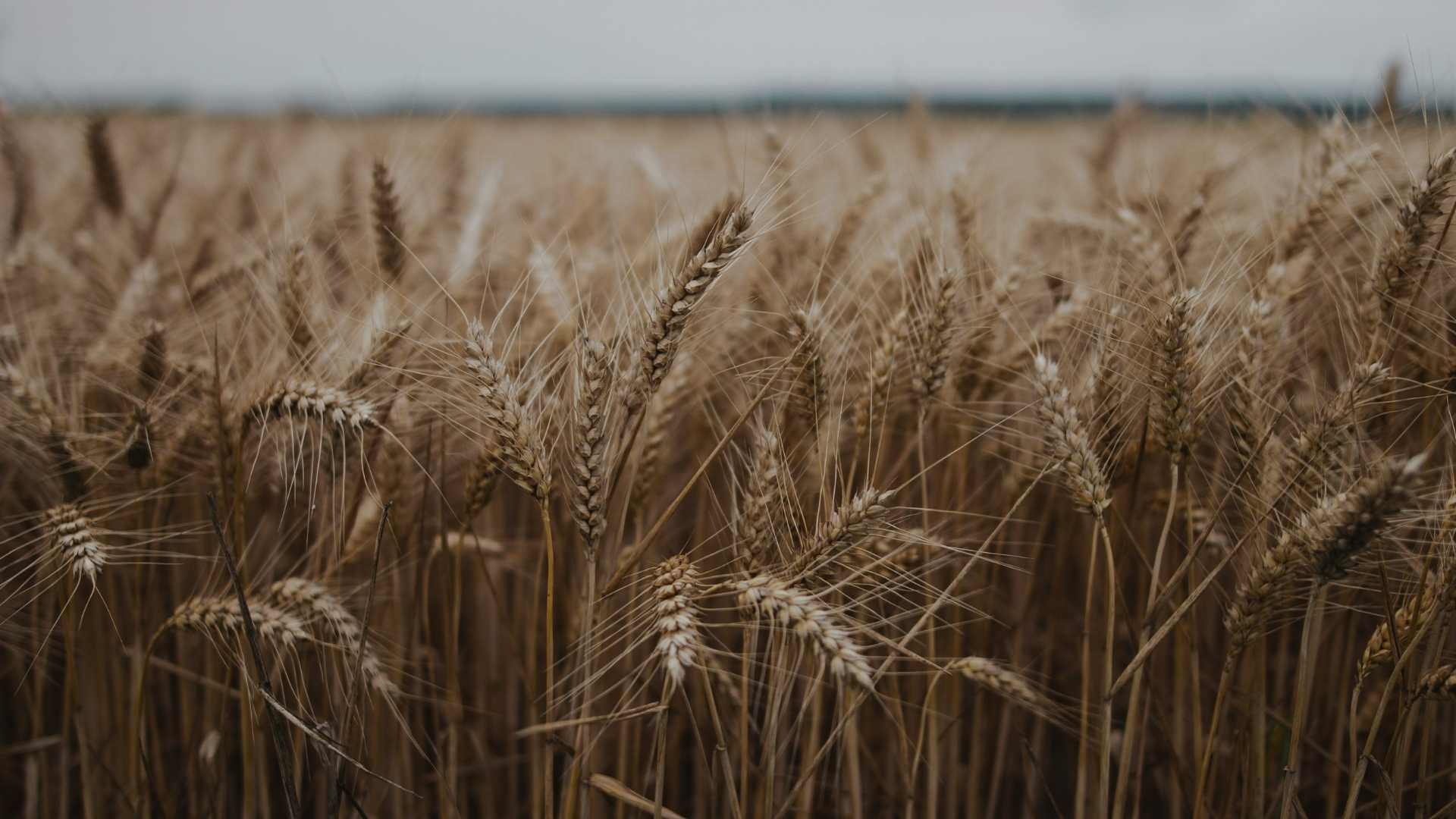 Lancement du fonds agricole Agridurable I