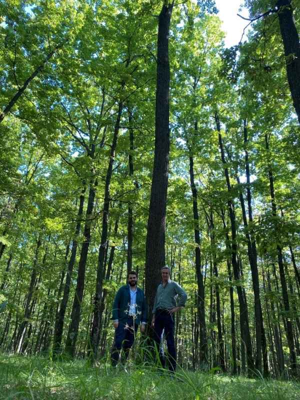 Acquisition en Roumanie : 728 hectares de forêt