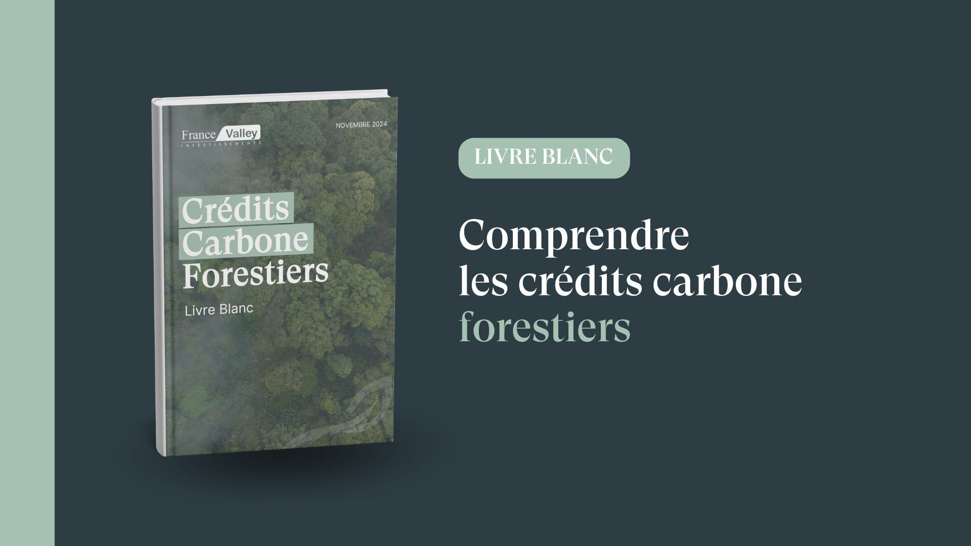 Livre Blanc - Mieux comprendre les crédits carbone forestiers