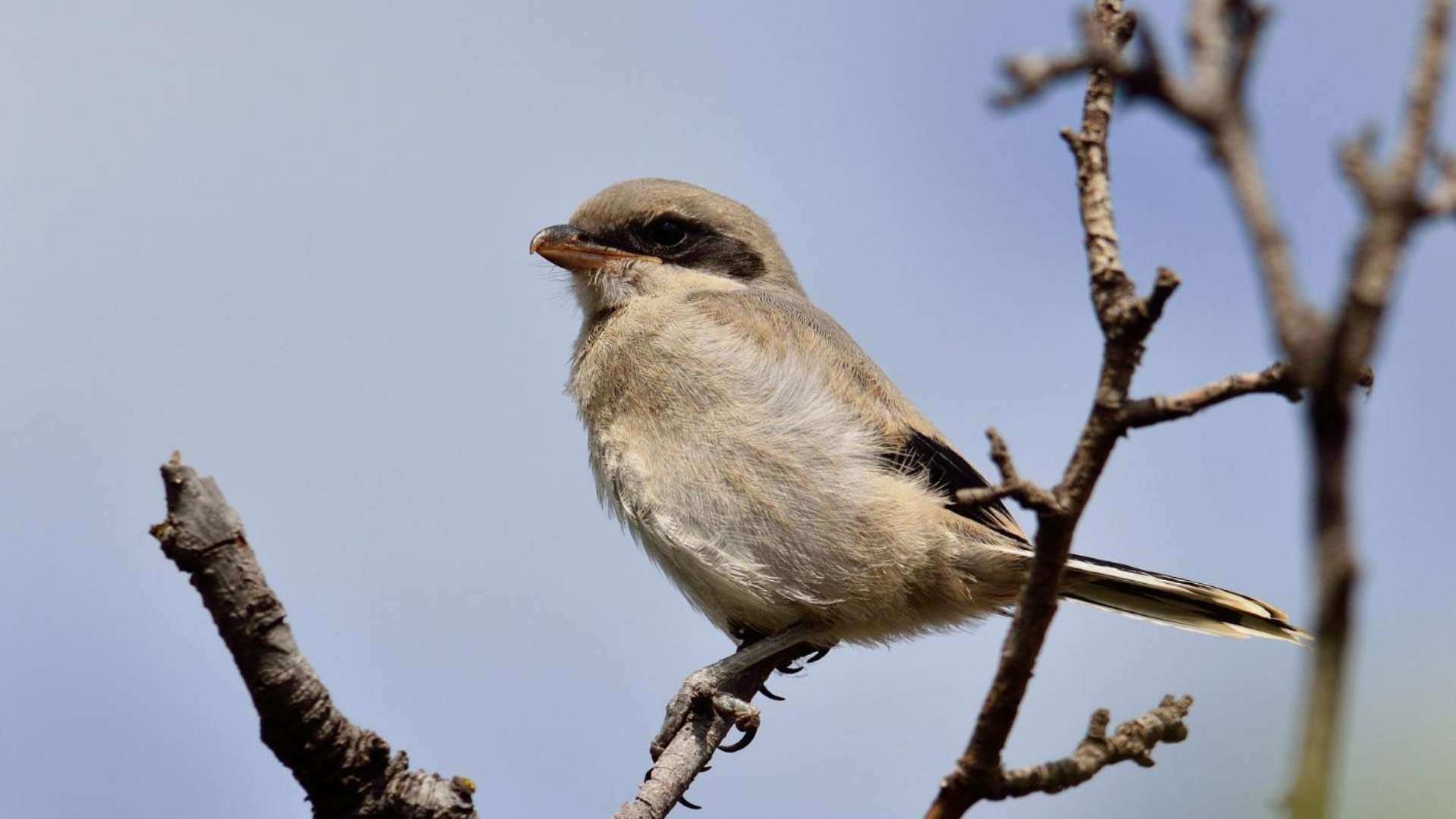 Acquisition de la forêt de la Grande Paroisse